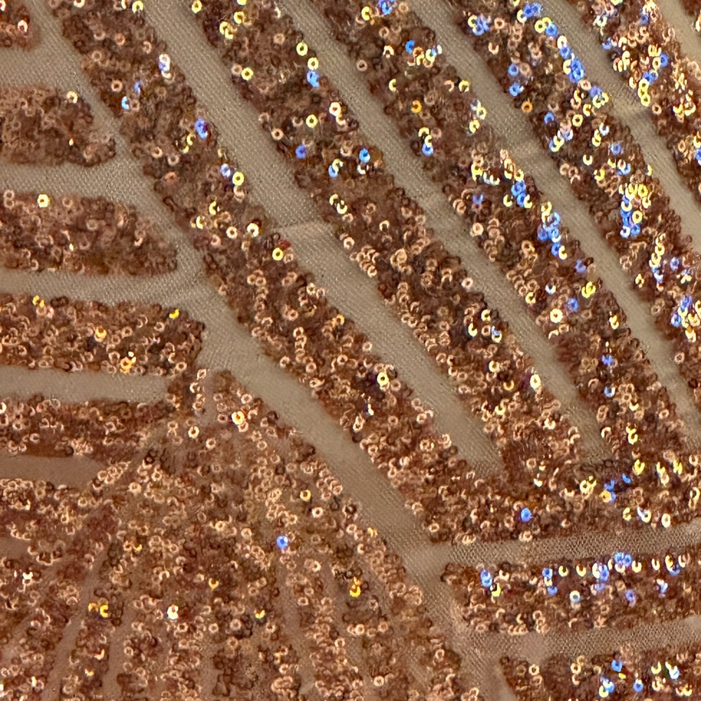 Rose Gold/Cream Sequin After Five Dresd